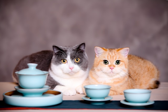 https://infopetsfood.com