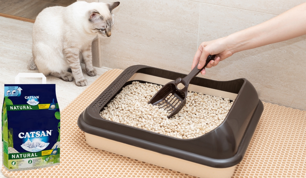 Why Catsan Kitty Litter Beats Other Brand