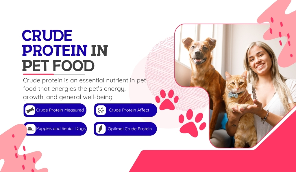 Crude Protein in Pet Food