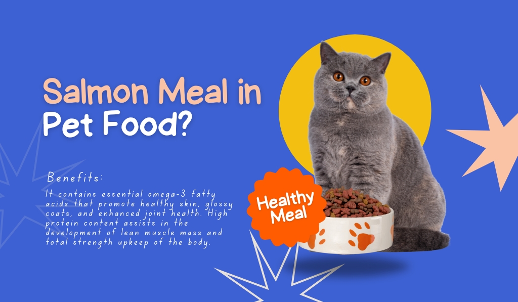 Salmon Meal in Pet Food