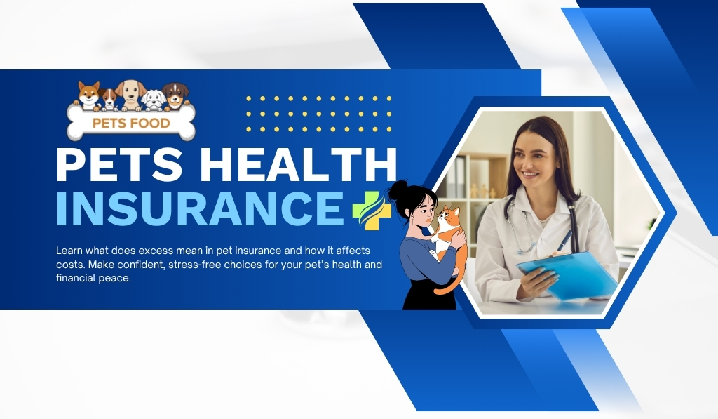 What Does Excess Mean in Pet Insurance