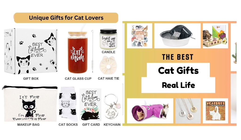 Unique Gifts for Cat Lovers
