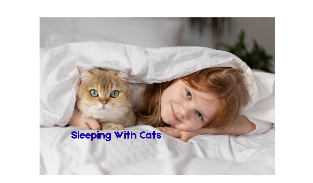 Sleeping With Cats