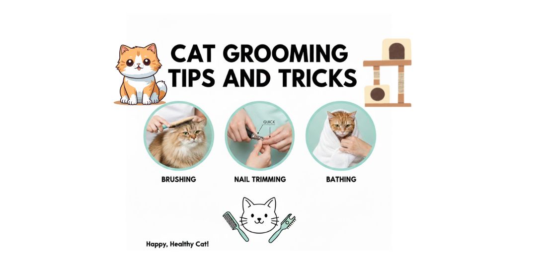 Cat Grooming Tips & Tricks